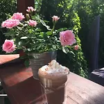 Jelenice 아파트 브르노