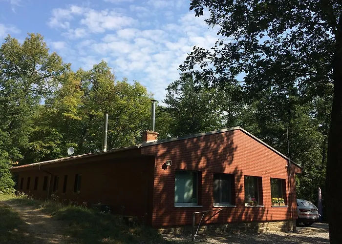 Jelenice Daire Brno